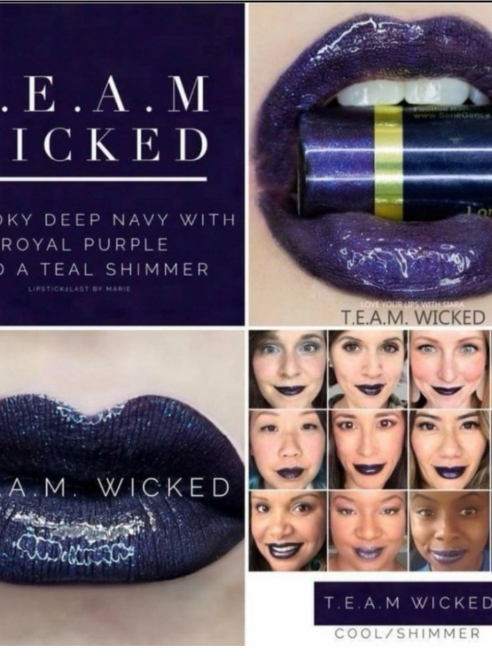 SeneGence T.E.A.M. Wicked Deep Navy Purple Shimmer long lasting lip color